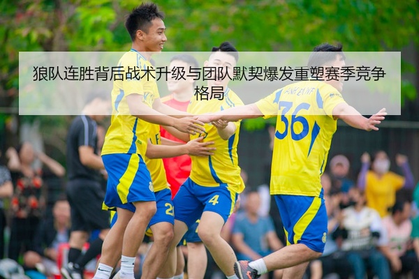 狼队连胜背后战术升级与团队默契爆发重塑赛季竞争格局