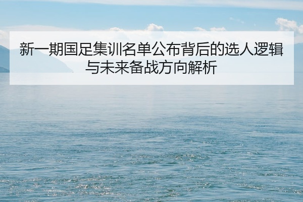 新一期国足集训名单公布背后的选人逻辑与未来备战方向解析